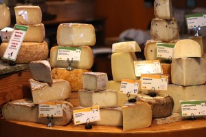 cheese